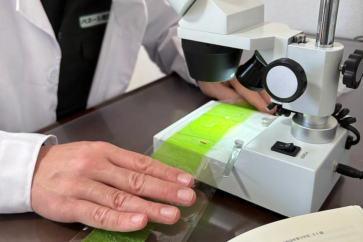 有害生物モニタリング