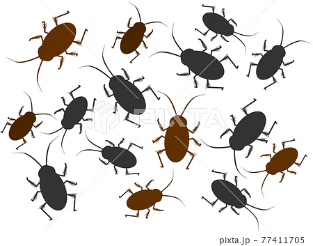 早期発見・早期対策