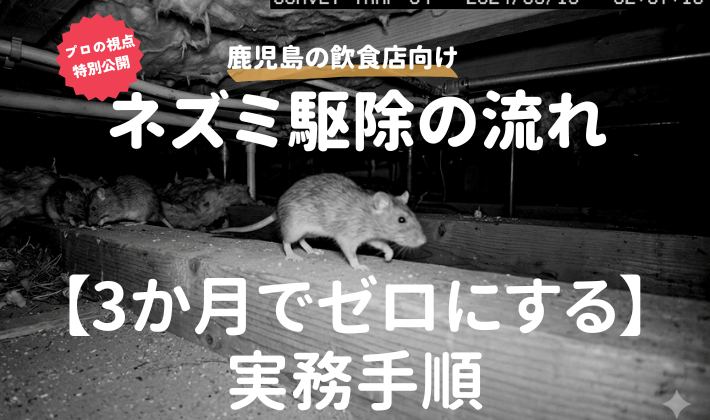 鹿児島の飲食店向け｜ネズミ駆除の流れ【3か月でゼロにする実務手順】
