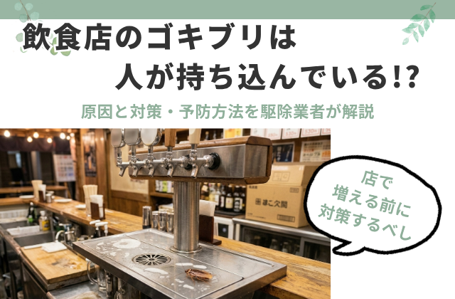飲食店のゴキブリは人が持ち込んでいる!?｜原因と対策・予防方法を駆除業者が解説