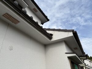 鹿児島市の軒下にアシナガバチの巣が出来始めた