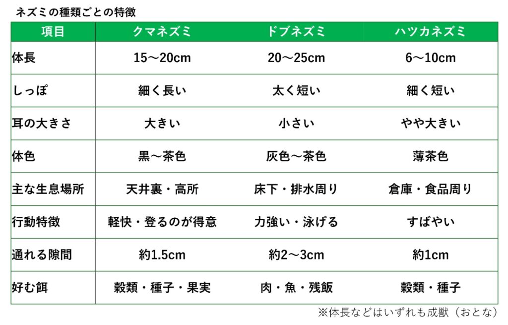 ネズミ　種類ごとの特徴