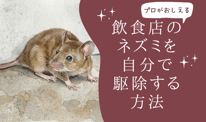 鹿児島の飲食店向け｜ネズミのセルフ駆除と業者に依頼すべきタイミング