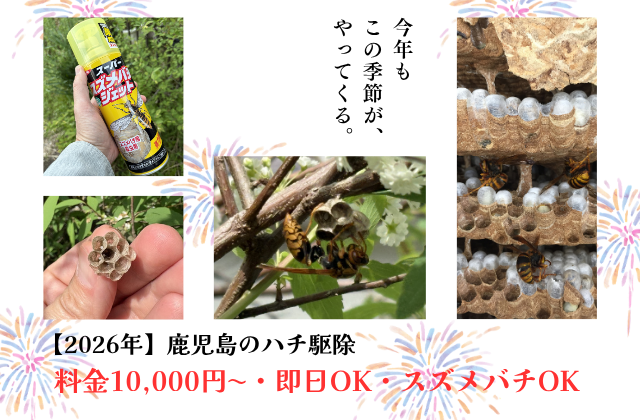 【2026年】鹿児島のハチ駆除｜10,000円〜・即日対応｜スズメバチOK