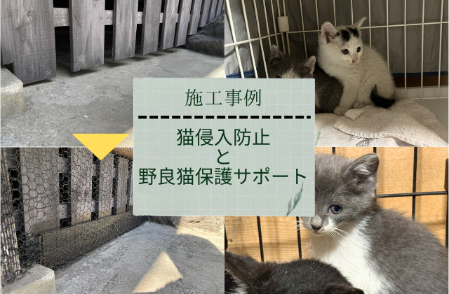 施工事例｜猫侵入防止＋野良猫保護サポート