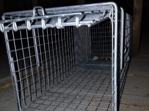 鹿児島市で使用したネコ捕獲器