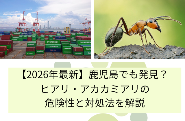 【2026年最新】鹿児島でも発見された？ヒアリ・アカカミアリの危険性と対処法を解説