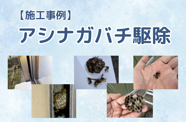 ハチの巣駆除（アシナガバチ駆除／一戸建て／雨戸の戸袋）