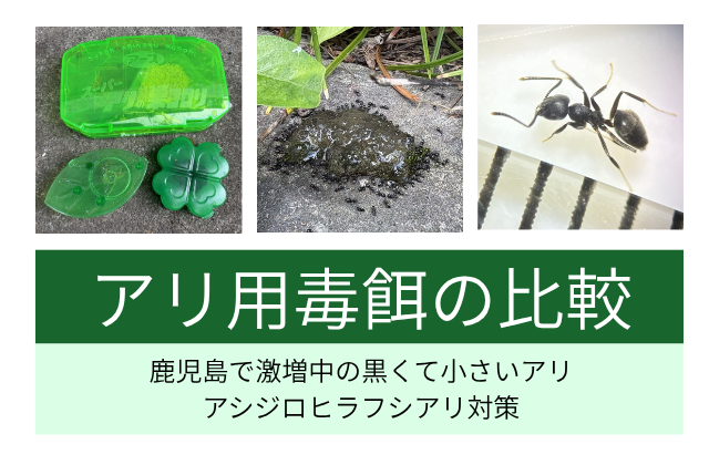 アリ用毒餌の比較|鹿児島で激増中の黒くて小さいアシジロヒラフシアリ対策