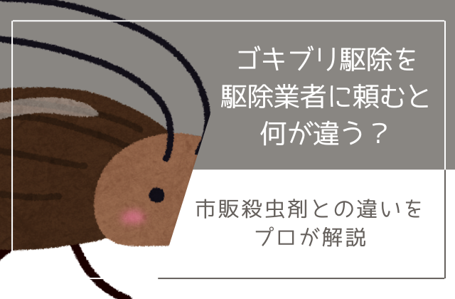 ゴキブリ駆除を駆除業者に頼むと何が違う？｜市販殺虫剤との違いをプロが解説