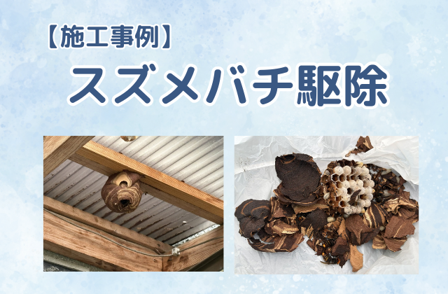 【施工事例】スズメバチ駆除+(オマケ)ドロバチ