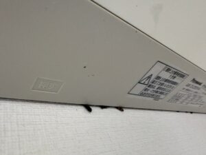エアコンと壁の間からコウモリのフンが落ちている
