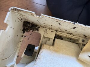 取り外したエアコンカバー内にコウモリのフンが多数見られた