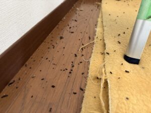 コウモリのフンがエアコンの下に落ちている