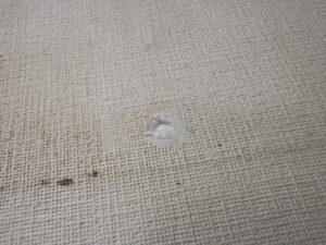 ビス穴はコーキングで閉塞