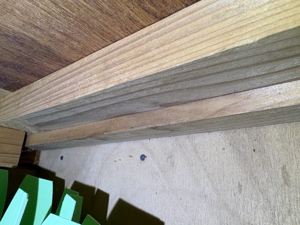 下の木製棚の中にアリの行列