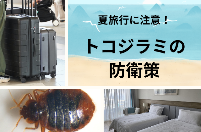 夏旅行に注意！トコジラミの防衛策