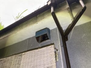換気扇フードにドロバチの巣