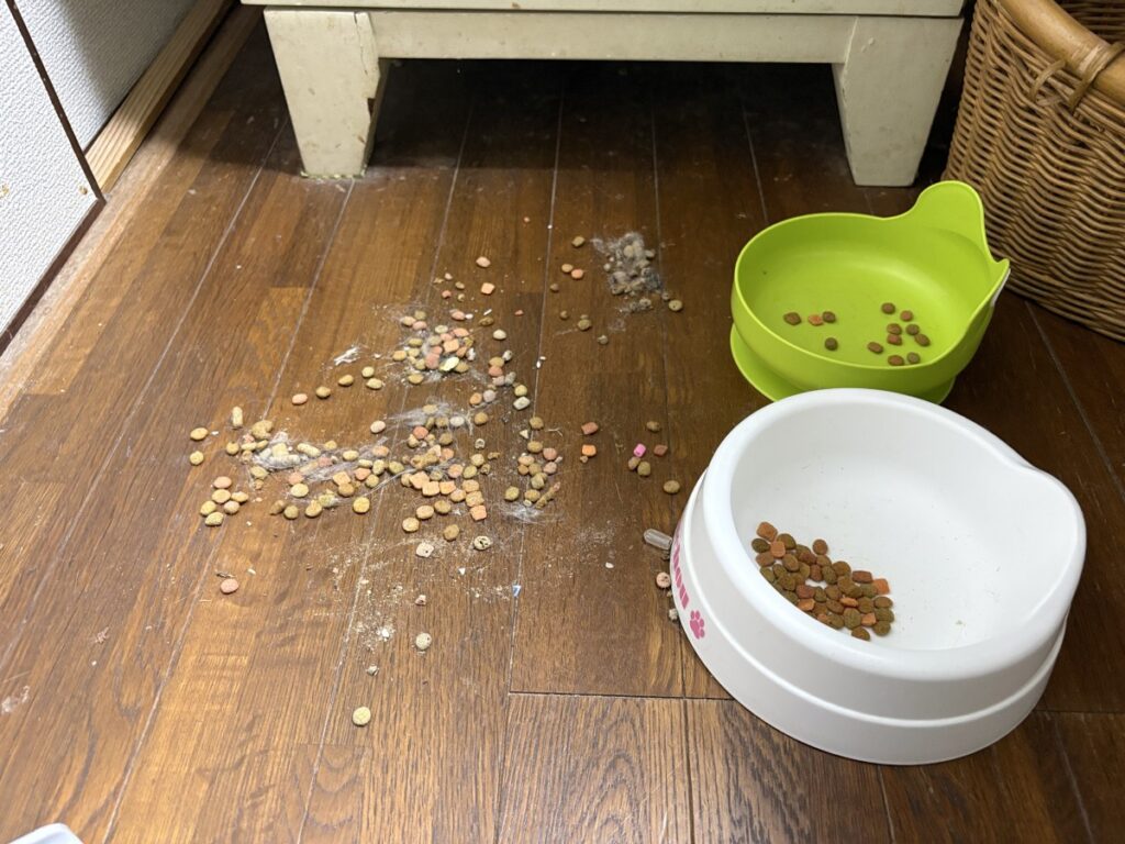 台所で散らかされたキャットフード