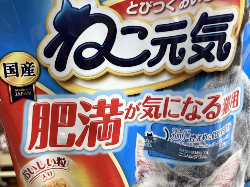 ねこ元気