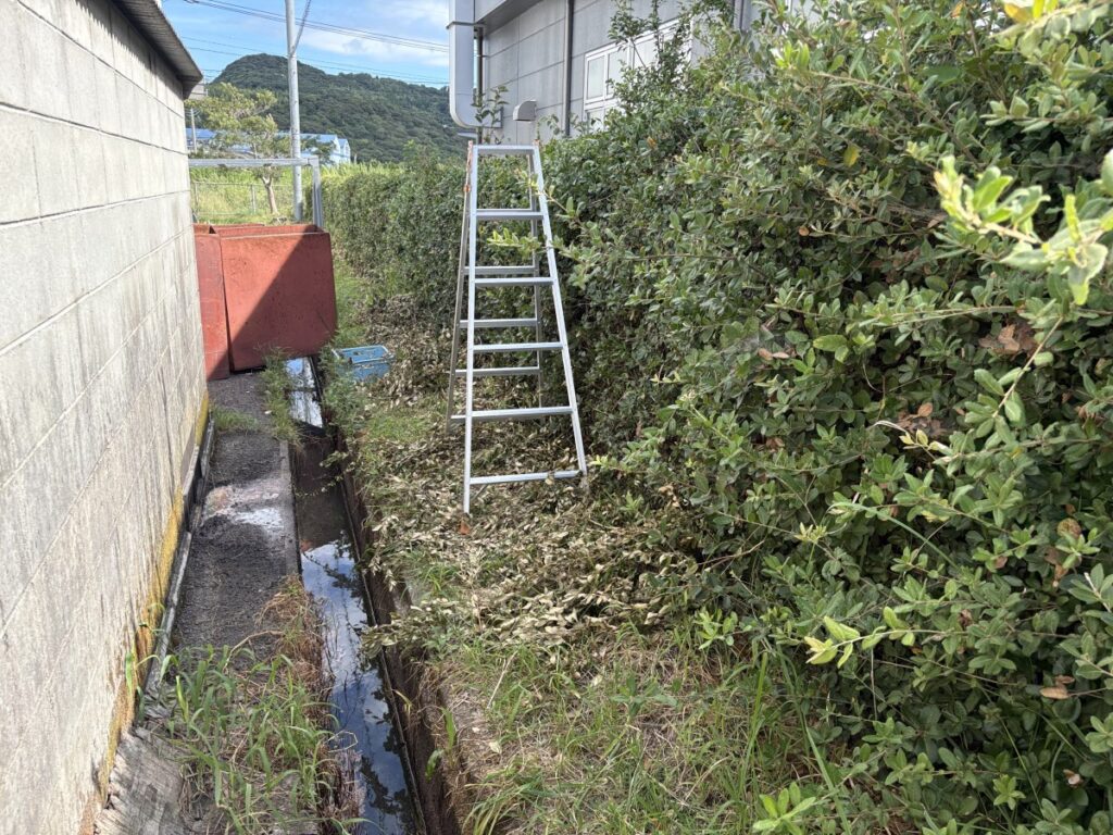 生け垣が100メートルくらい続いている