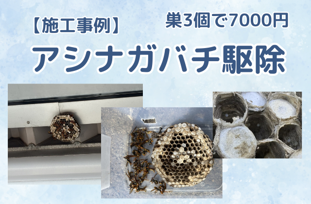 ハチの巣駆除（アシナガバチ駆除／食品加工場）