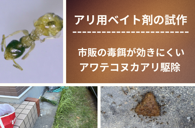 アリ用ベイト剤の試作｜市販の毒餌が効きにくいアワテコヌカアリ駆除