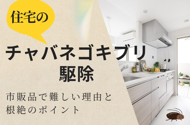 住宅のチャバネゴキブリ駆除｜市販品で難しい理由と根絶のポイント