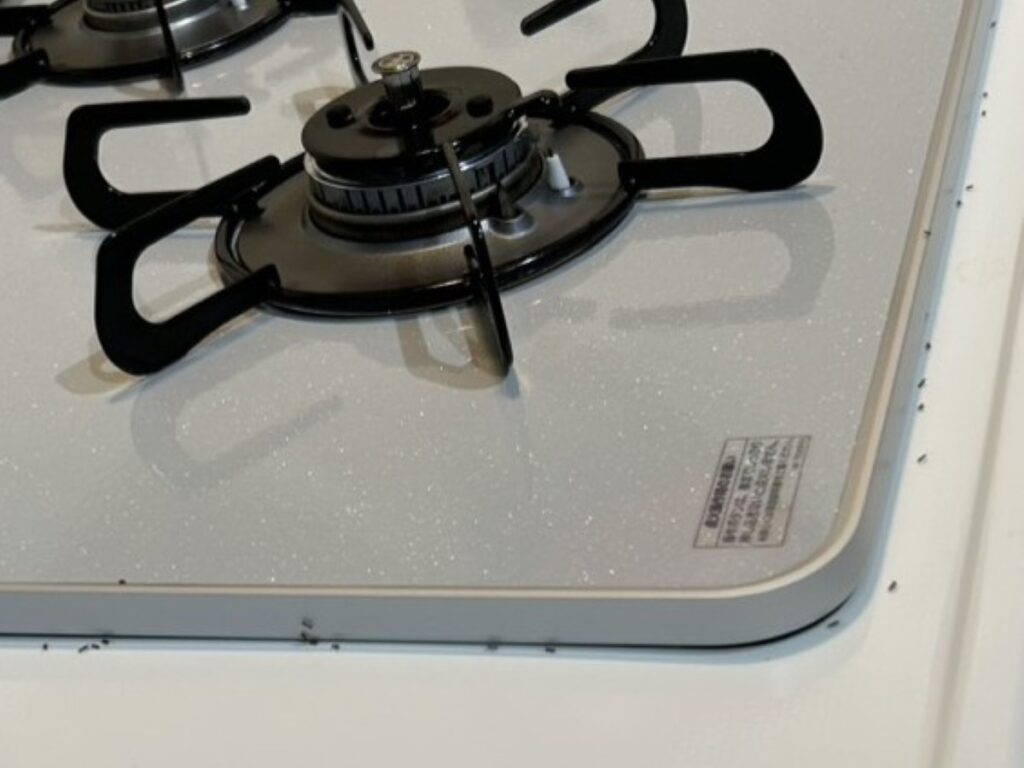 キッチンのガスレンジ周りにオオズアリの行列