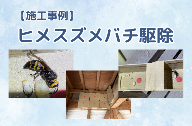 スズメバチ駆除（ヒメスズメバチ／一戸建て／天井内部）
