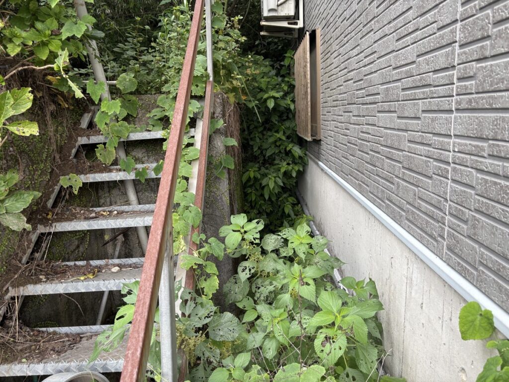 作業前には草木が茂っていた