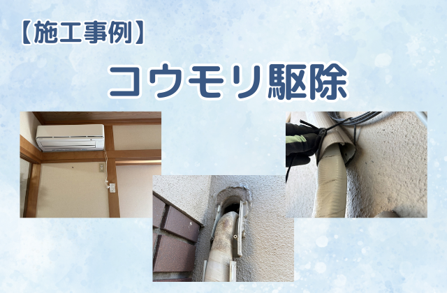 コウモリ駆除（一戸建て）